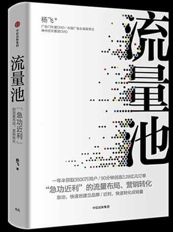 《流量池》杨飞/急功近利流量布局 营销转化 营销奥秘