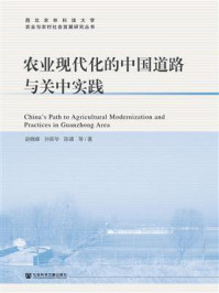 《农业现代化的中国道路与关中实践》-赵晓峰