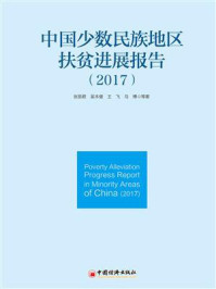 《中国少数民族地区扶贫进展报告（2017）》-张丽君