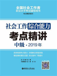 《社会工作综合能力（中级）2019年考点精讲》-沈黎