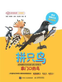 《拼只鸟：超有趣的鸟类科普与积木拼搭书》-雷诺