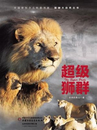 《超级狮群》-非洲的青山