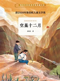 《陈伯吹奖获奖作家典藏书系·空巢十二月》-邱易东