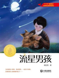 《大白鲸原创幻想儿童文学优秀作品·流星男孩》-顾宏英
