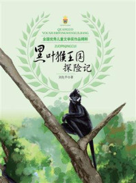 《黑叶猴王国探险记》-刘先平