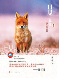 《再见，狐狸—消失的家园》-黄鑫
