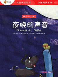 《夜晚的声音（3级 10-12岁）》-杜鲁夫·德文内尼