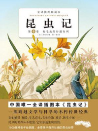 《昆虫记6：松毛虫的行进行列》-【法】法布尔（著）