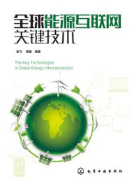 《全球能源互联网关键技术》-袁飞