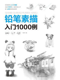 《铅笔素描入门1000例》-露霖