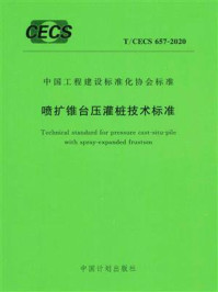 《喷扩锥台压灌桩技术标准（T.CECS 657-2020）》-山东倍特力地基工程技术有限公司