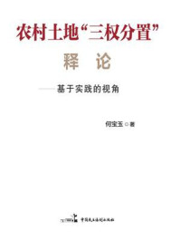 《农村土地“三权分置”释论：基于实践的视角》-何宝玉