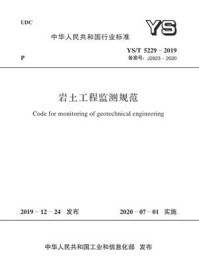 《YS.T5229-2019 岩土工程监测规范》-中国有色金属工业协会