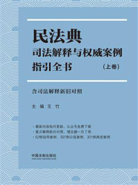 《民法典司法解释与权威案例指引全书：含司法解释新旧对照（上卷）》-王竹