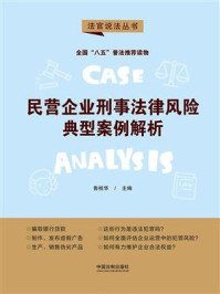 《民营企业刑事法律风险典型案例解析》-鲁桂华