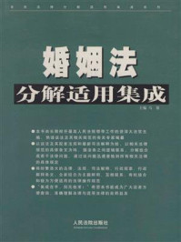 《婚姻法分解适用集成》-马原