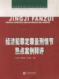 《经济犯罪定罪量刑情节热点案例释评》-丁天球