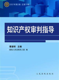 《知识产权审判指导 2007年第2辑 总第10辑》-曹建明