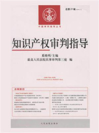 《知识产权审判指导 2013年第1辑 总第21辑》-奚晓明