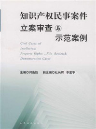 《知识产权民事案件立案审查与示范案例》-何通胜