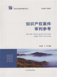 《黑龙江法院审判参考丛书：知识产权案件审判参考》-马文静