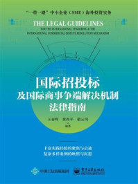 《国际招投标及国际商事争端解决机制法律指南》-王春晖