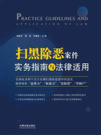 《扫黑除恶案件实务指南与法律适用》-路浩天