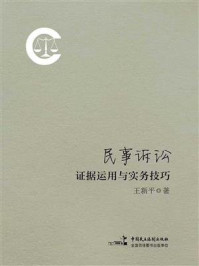《民事诉讼证据运用与实务技巧》-王新平