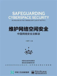 《维护网络空间安全：中国网络安全法解读》-王春晖