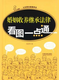 《婚姻收养继承法律看图一点通》-冯美华