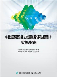 《《数据管理能力成熟度评估模型》实施指南》-中国电子信息行业联合会