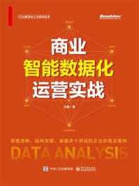《商业智能数据化运营实战》-王鑫