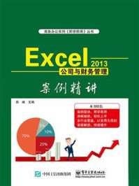 《Excel 2013公司与财务管理案例精讲》-田峰