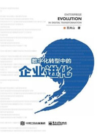 《数字化转型中的企业进化》-王兴山