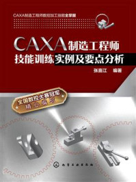 《CAXA制造工程师技能训练实例及要点分析》-张喜江