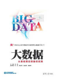 《大数据：从基础理论到最佳实践》-祁伟,刘冰,常志军,赵廷涛,高俊秀