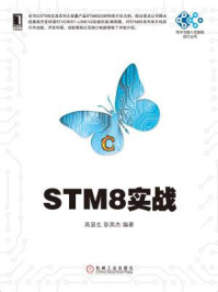 《STM8实战》-高显生