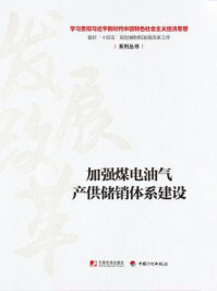 《加强煤电油气产供储销体系建设（学习贯彻习近平新时代中国特色社会主义经济思想做好“十四五”规划编制和发展改革工作系列丛书）》-丛书编写组