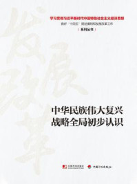 《中华民族伟大复兴战略全局初步认识（学习贯彻习近平新时代中国特色社会主义经济思想 做好“十四五”规划编制和发展改革工作系列丛书）》-丛书编写组