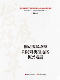 《推动脱贫攻坚和特殊类型地区振兴发展（学习贯彻习近平新时代中国特色社会主义经济思想 做好“十四五”规划编制和发展改革工作系列丛书）》-丛书编写组