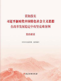 《贯彻落实习近平新时代中国特色社会主义思想在改革发展稳定中攻坚克难案例：党的建设》-中共中央组织部