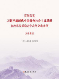 《贯彻落实习近平新时代中国特色社会主义思想在改革发展稳定中攻坚克难案例：文化建设》-中共中央组织部