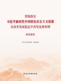 《贯彻落实习近平新时代中国特色社会主义思想在改革发展稳定中攻坚克难案例：政治建设》-中共中央组织部