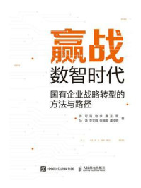 《赢战数智时代：国有企业战略转型的方法与路径》-许可