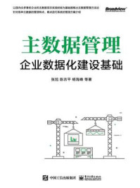 《主数据管理：企业数据化建设基础》-张旭