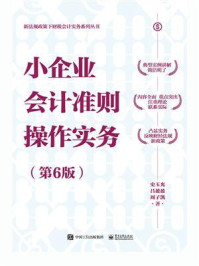 《小企业会计准则操作实务（第6版）》-史玉光