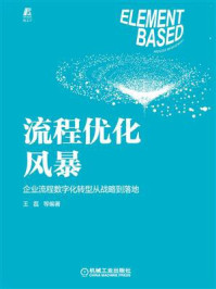 《流程优化风暴：企业流程数字化转型从战略到落地》-王磊