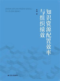 《知识资源配置效率与组织绩效》-王锦