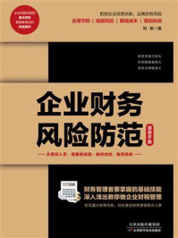 《企业财务风险防范速查手册》-刘靳