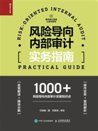 《风险导向内部审计实务指南》-付淑威